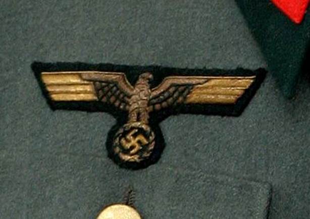 suter eagle